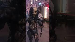 Хищник на Невском проспекте! Predator is coming…