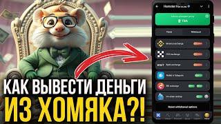 КАК ВЫВЕСТИ ДЕНЬГИ из Hamster Kombat - Как Подключить Биржу в Хомяке