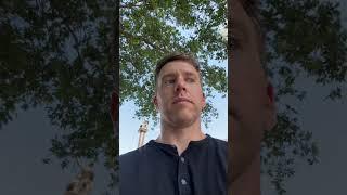 I Blew a Dog Whistle at a Dog Park...