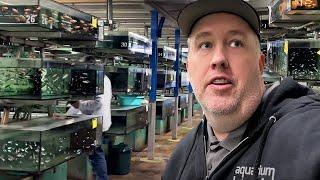 Thousands of Rare Aquarium Fish at MASSIVE Wholesaler | Aquarium Glaser Tour