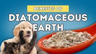 5 Benefits Of Diatomaceous Earth For Dogs and Cats
