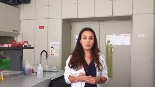 Nutrição Positiva - Depoimento Maria João - Nutricionista de Portugal