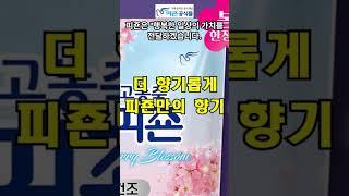 피죤 공식몰 - 소중한 지구를 위한 선택 #쇼핑몰