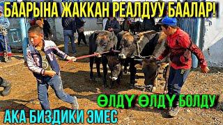 УКАМ АРЗАНБЫ КЫМБАТБЫ АЙТЧЫ СЕН???  #байтв