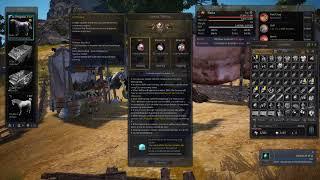 Black Desert Online - Tier 9 Attempt 15 - Finally a Dream Horse?