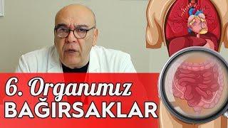 6. ORGANIMIZ BAĞIRSAKLAR - (BAĞIRSAK SAĞLIĞI!) / 5 Dakikada Sağlık