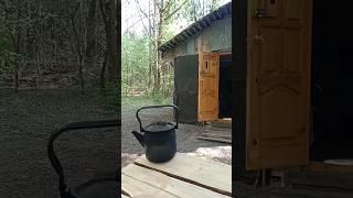 лесная изба