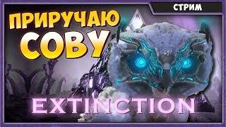 SNOW OWL СОВА | ARK: Survival Evolved Extinction