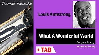 What A Wonderful World - Harmonica TAB - Михаил Гапак - Seydel Saxony