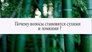 Почему волосы становятся сухими и ломкими?