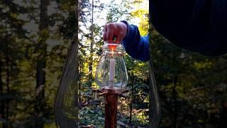 Survival Skills:  lifehack with an old lamp #survival #bushcraft #camping #outdoors #lifehacks