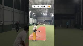 Dream Catches  Cricket Fielding Mind Blowing Catches #cricket #shorts #catch
