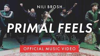 Nili Brosh - Primal Feels (Official Music Video)