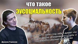 Что такое эусоциальность? Причем здесь муравьи? | Данила Горюнов в интервью «Мирмекологии— Просто»