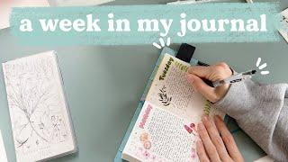 daily journal with me for a weekhobonichi notebook