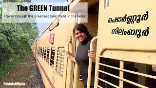 Great Indian Train Journey - Green Tunnel in Kerala |Nilambur-Shornur| Best TrainRoutes in the World