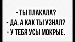 смешные картинки | приколы | демотиваторы | смех | шутки #111 