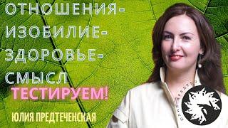 Психотерапевтическая кинезиология. Работа с четырьмя сферами: отношения-здоровье-изобилие-смысл