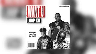 (FREE) Melodic West Coast Loop Kit “Want U” (Blxst, Binorideaux, Kalan.Frfr, 1TakeJay, Melodic)