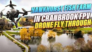  Aerial Tour of Hawkhurst Fish Farm in Cranbrook - swimbooker: The Flythrough