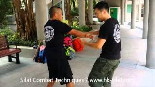 Silat Combat Techniques ! Punch Countering Attack !