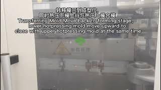 The Production Process of Hanson Pulp Molding Machine.
