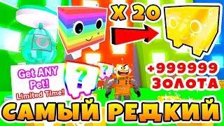 СИМУЛЯТОР ПИТОМЦЕВ САМЫЙ РЕДКИЙ ПИТОМЕЦ ЗА ВСЮ ИСТОРИЮ ИГРЫ! ROBLOX PET SIMULATOR