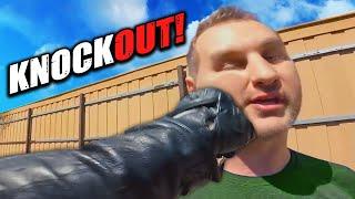 WHEN BIKERS FIGHT BACK! | THE BEST OF BIKERS & Crazy Motorcycle Moments Ep. #2