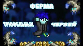 ФЕРМА ТРЮФЕЛЬНЫХ ЧЕРВЕЙ В ТЕРРАРИИTERRARIA