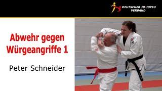 Teil 1 - Jiu-Jitsu Abwehr gegen Würgen von vorne / Peter Schneider