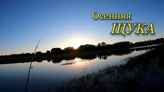 Ловля ЩУКИ в сентябре.  Этот воблер опять сделал рыбалку