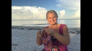 Yarn on the beach 202 live sunrise video podcast with Kristin Omdahl knitting crochet