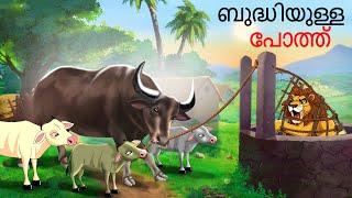 Malayalam Stories | ബുദ്ധിയുള്ള പോത്ത് | Malayalam Story | Stories in Malayalam