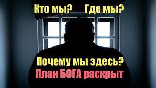 Кто мы? Где мы? Почему мы здесь? План Бога Раскрыт | Сон Разума