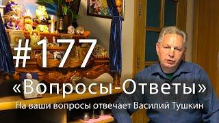 2025-06-16 - "Вопросы-Ответы", Выпуск #177 - Василий Тушкин отвечает на ваши вопросы