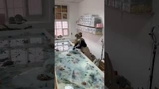 Заливка 4 метрового стола, 3 серия #столсмола #смолаобучение #столы #дизайнинтерьера