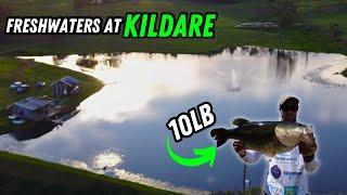 I caught an ABSOLUTE GIANT 10.25LB BASS at this stunning venue - Freshwaters at Kildare