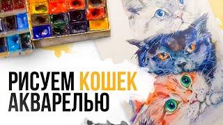 Как нарисовать кошек акварелью? | Как нарисовать кота - пошаговое руководство