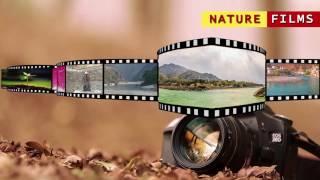 WINTERLINE PRODUCTIONS WORK CRITERIA.(FILM MAKING &ADVERTISING SERVICE)