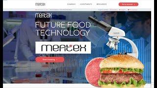 MEATEX.IO SCAM