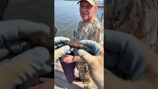Гильзы от снарядов ?баллон от пистолета? #рек #топ #рекомендации
