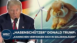 "OBERSTER HASENSCHÜTZER" TRUMP kritisiert deutsche Energiepolitik: Windräder „zerstören“ Deutschland