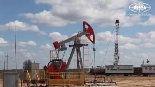 Добыча нефти в Речицком районе