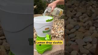 Secret Low Sugar Lemon Drop Slushie Formula