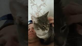 Сидит кот рядом со мной