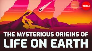 The mysterious origins of life on Earth - Luka Seamus Wright