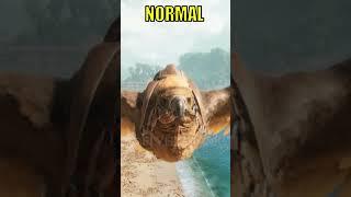 ARK ASCENDED DINO ALPHA FORMS PART-5 #shorts  #ark  #sigma