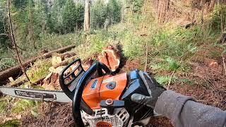 Stihl MS 500 i review....(  After 6 months of commercial use )