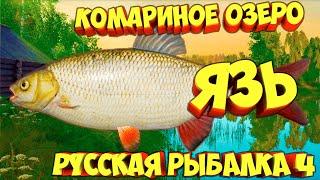 русская рыбалка 4 - Язь озеро Комариное - рр4 фарм Алексей Майоров russian fishing 4