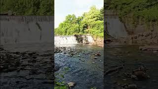NYC  bronx  park